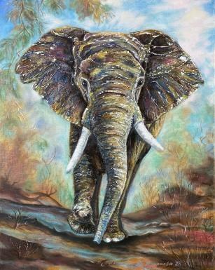 Навстречу мечте