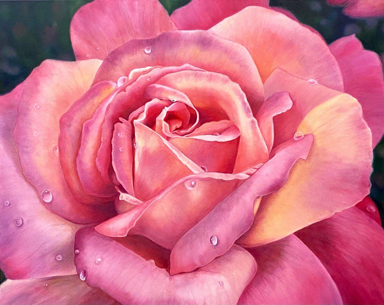 Розовая мечта